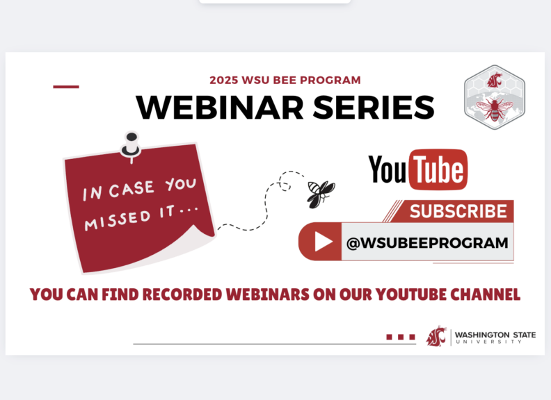 Webinar series advertisement